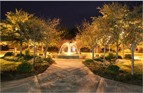 全自动发码的呼死你网页版